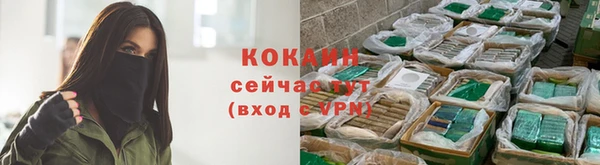 хмурый Абаза
