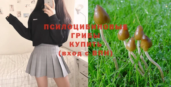 дмт Абинск